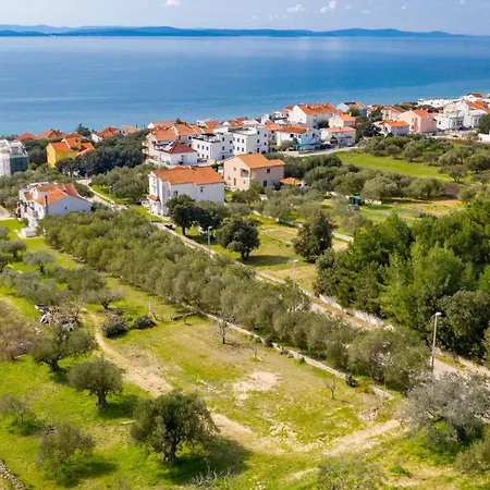 Mirena * Kožino